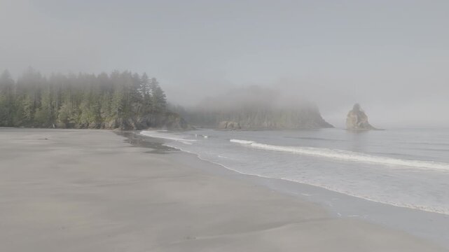 Aerial view flying slowly away from foggy forested coastline, in Washington state, ocean waves of Olympic Peninsula (D-Log / Ungraded version)