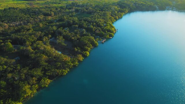 Aerial view of lush forest meeting the deep blue water of Bacalar lake in Mexico