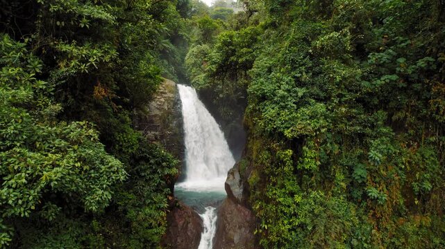 Aerial view of powerful waterfall flowing through rainforest with green foliage