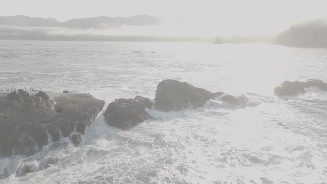 Aerial view flying toward sea rock with birds off Washington coast , ocean waves of Olympic Peninsula (D-log / Ungraded version)