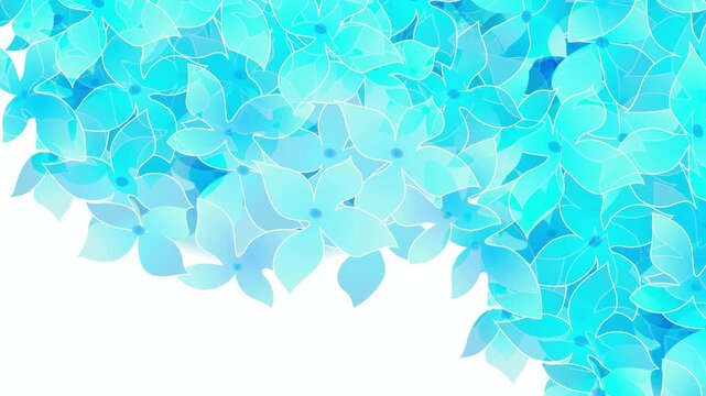Vibrant Blue Hydrangea Flower Cluster 4K