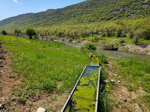 Trough leads toward a valley filled with flowing stream water, bordered by green meadow and a tree-covered hillside beneath a clear sky.
📍Daga Shekhan, Marivan, Kurdistan 