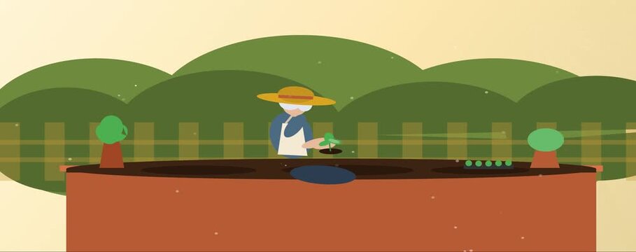 Senior woman with silver hair planting green seedlings in garden flat vector animation