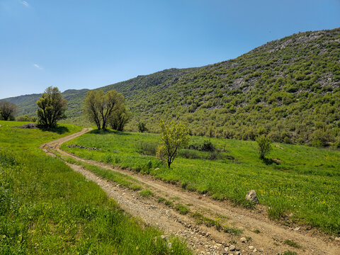 Winding dirt path curves through a green meadow toward a shrub-covered hillside, bordered by scattered trees under a clear spring sky.
📍Daga Shekhan, Marivan, Kurdistan 