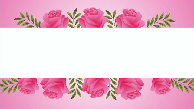 Elegant pink roses frame a white space with gentle motion on a gradient background, perfect for design elements.