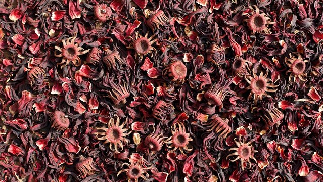 Dried Hibiscus Flowers Scattered as a Texture Background, Organic Ingredient for Herbal Tea and Natural Skincare Cosmetics, Culinary and Wellness Concept