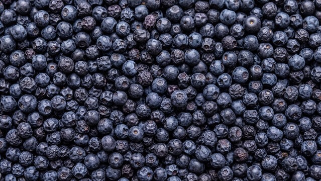 Pile of dried dark blueberries, scattered full frame texture in deep blue