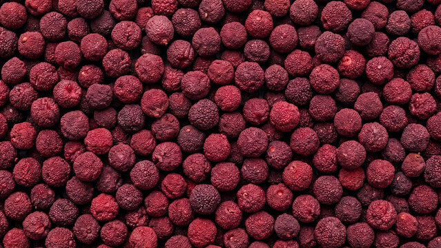 Pile of dried red bayberries, scattered full frame texture in deep maroon