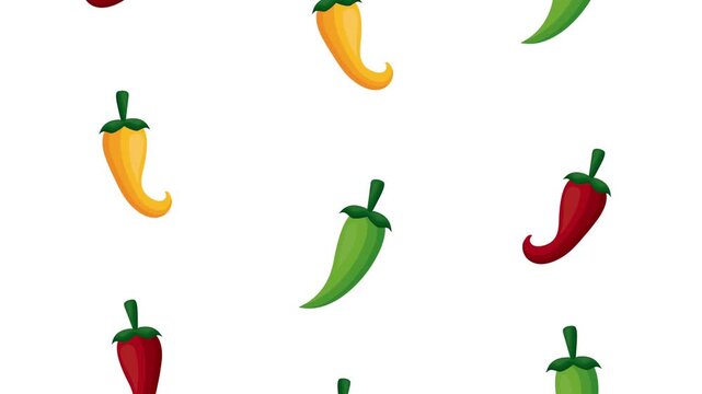 Mexican chili pepper pattern falling on white background in seamless loop motion.