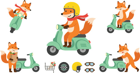 Fototapeta premium Cute Cartoon Fox Riding Scooter Vector Set Featuring Orange Fox Character Driving Moped Wearing Helmet and Scarf for Delivery Designs