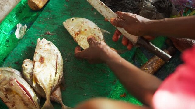 A fisherman's hands scale and clean freshly caught trevally on a green table, preparing the morning catch in a coastal village in Sri Lanka.