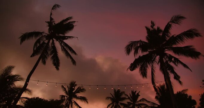 Decorative string lights illuminate a grove of palm trees with purple sunset sky