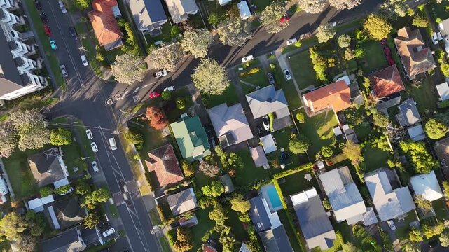 Top down 4K 60fps aerial drone view of houses, streets, and cars at sunset in Mount Albert, Auckland, New Zealand. Golden hour overhead perspective over suburban neighborhood