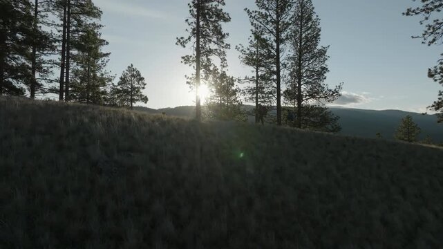 Backpackers Walking Across Golden Mountain Meadow Slope