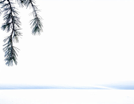 Pine branch over snowy landscape with winter horizon and minimalist copy space for Christmas design