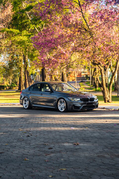 Grey BMW M3 Sedan Parked Under Blooming Trees, Front Three-Quarter View