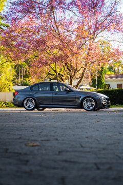 Side Profile of Grey BMW M3 Sedan Parked Under Blooming Pink Trees