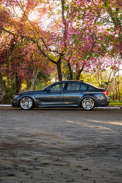 Side Profile of Dark Grey BMW M3 Sedan Parked Under Blooming Pink Trees