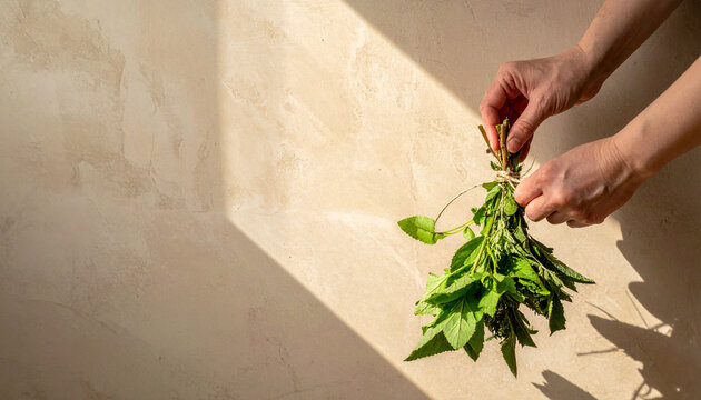 Hands Holding Fresh Herbs and Using the Whole Plant to Reduce Kitchen Food Waste
新鮮なハーブを茎まで無駄なく使い切る食品ロス削減のイメージ
