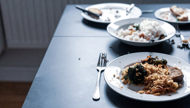Leftover Food on Plates After a Meal Showing Household Food Waste and Overconsumption
食後の皿に残された料理と食べ残しによる食品ロスのイメージ