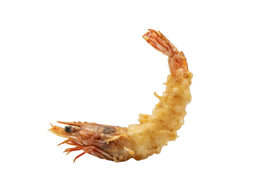 Single crispy fried shrimp tempura with golden brown batter coating isolated on a transparent background
