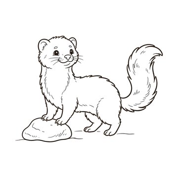Hand-drawn white ferret or weasel standing on rock near water in minimalist line art style