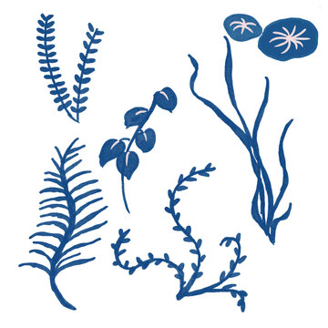 Plants theme. Shadows. Monotone. Simplified