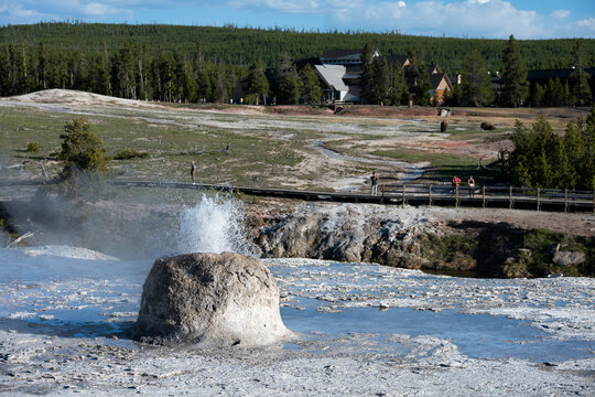 Beehive Geyser erupting in early morning, tourists on boardwalk with Old Faithful Inn in background, Upper Geyser Basin, summer vacation exploring Yellowstone National Park
