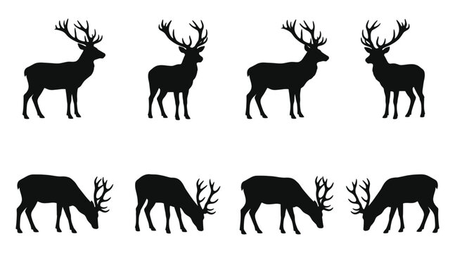 Set of black silhouettes of deer standing and grazing, vector illustration