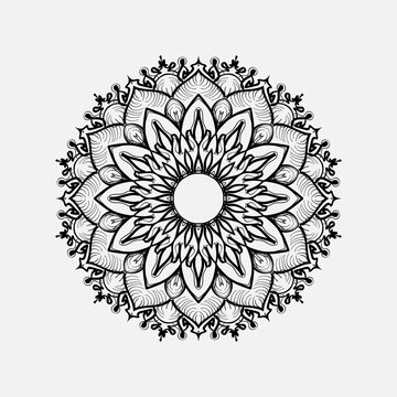 vector illustration of a flower