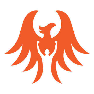 Professional Phoenix Logo Design Vector Artwork