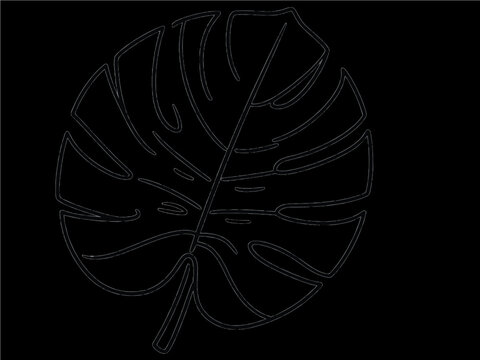 Minimalist monstera leaf line art vector icon with transparent background