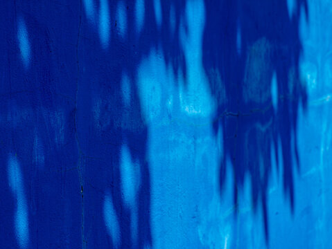 Deep Blue Wall with Dappled Tree Shadow Pattern and Faint Crack Line