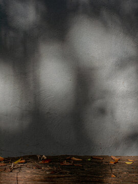 Dried Leaves on Wooden Ledge with Blurred Shadow Backdrop on Gray Wall