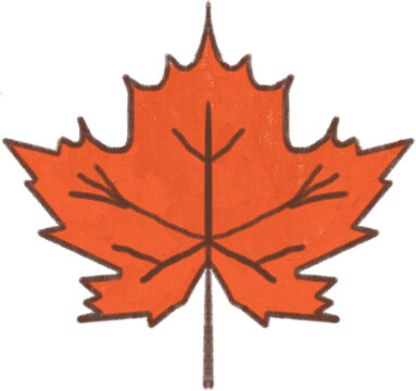 Cute orange autumn maple leaf illustration isolated on black background