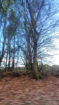 19th April, 2026. Scottish Valley and Countryside Landscape Car Drive Through Very Narrow Country Road of Scottish Valley and Balmaha Village Which is Covered with Mountains and Tall Jungle Trees.