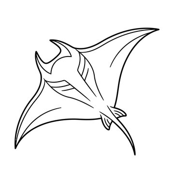 Manta Ray Outline