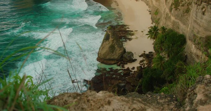 Green plants overlook the turquoise ocean and white sand of Diamond Beach Nusa Penida Bali