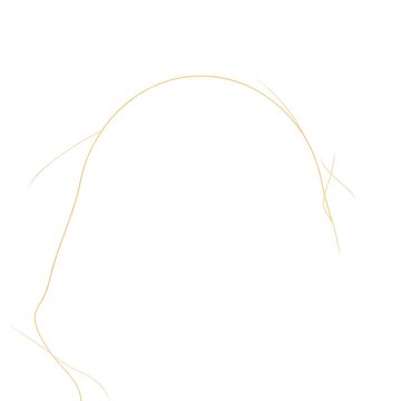 string isolated on white