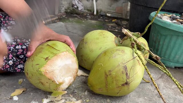 Close up shot of cutting and peeling fresh green young coconuts with a sharp knife on rural backyard