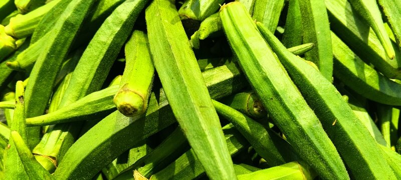 Fresh Green Okra Pile Closeup