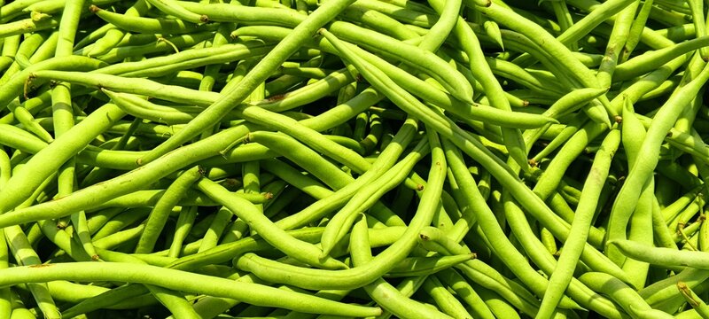 Fresh Green French Beans Background