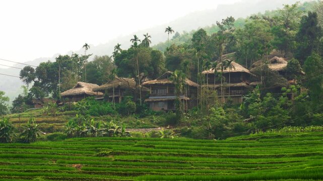 Scenic landscape of Pu Luong traditional village with thatch roof houses and green terraced rice fields under a clear sky