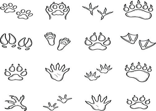 Animal Paw Print and Track Line Icon Set with Wild Bear Wolf Bird Hoof and Webbed Feet Doodles for Nature Wildlife Tracker Vector Design