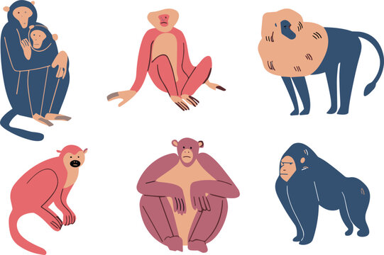 Wild Primate Vector Set with Monkeys, Baboons and Apes in Flat Modern Style for Wildlife and Nature Design