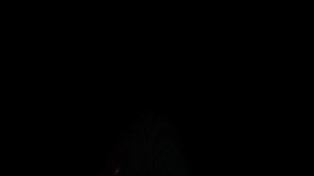 Abstract Strange Attractor with Dark Spiraling Trajectories on Black Background &ndash; Chaos Theory Mathematical Animation