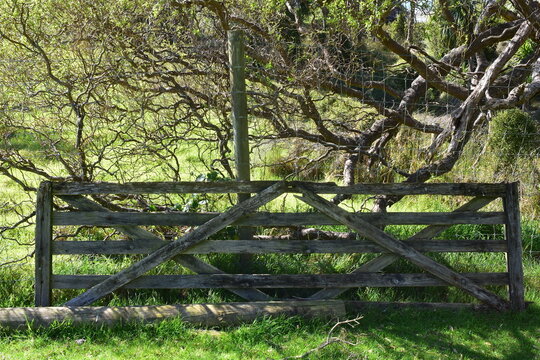 A rustic wooden farm gate and mossy log sit in a green paddock, framed by thick trees and bright grass on a sunny day.
