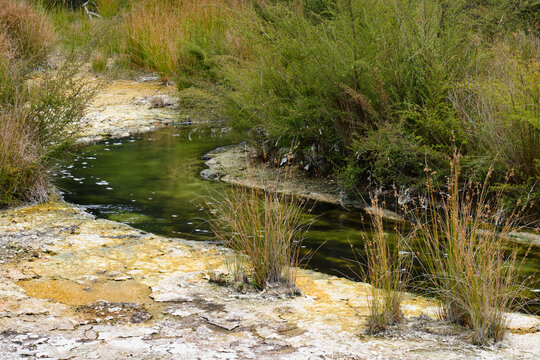 Hot water creek in Waimangu Volcanic Valley - Rotorua, New Zealand