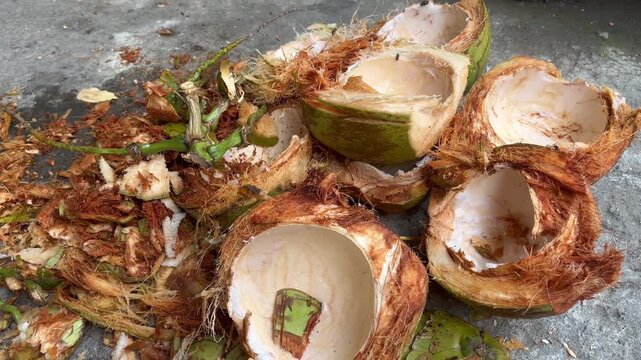 Top angle shot of organic young coconut husks and empty shells on the ground after water extraction