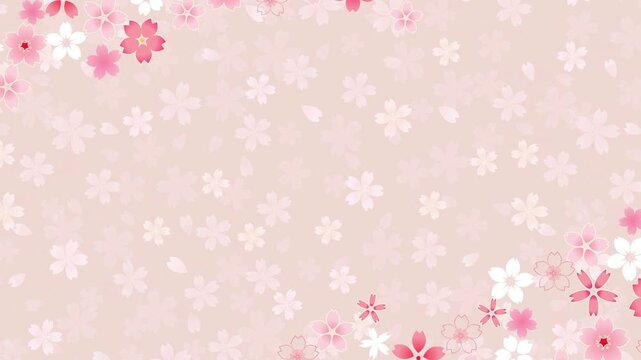 Elegant Pink Cherry Blossom Pattern 4K